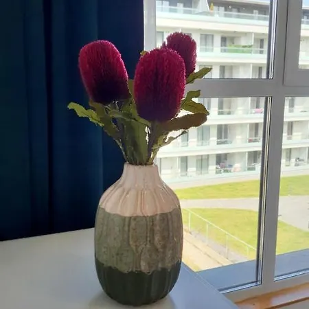 M Bliss Apartment *